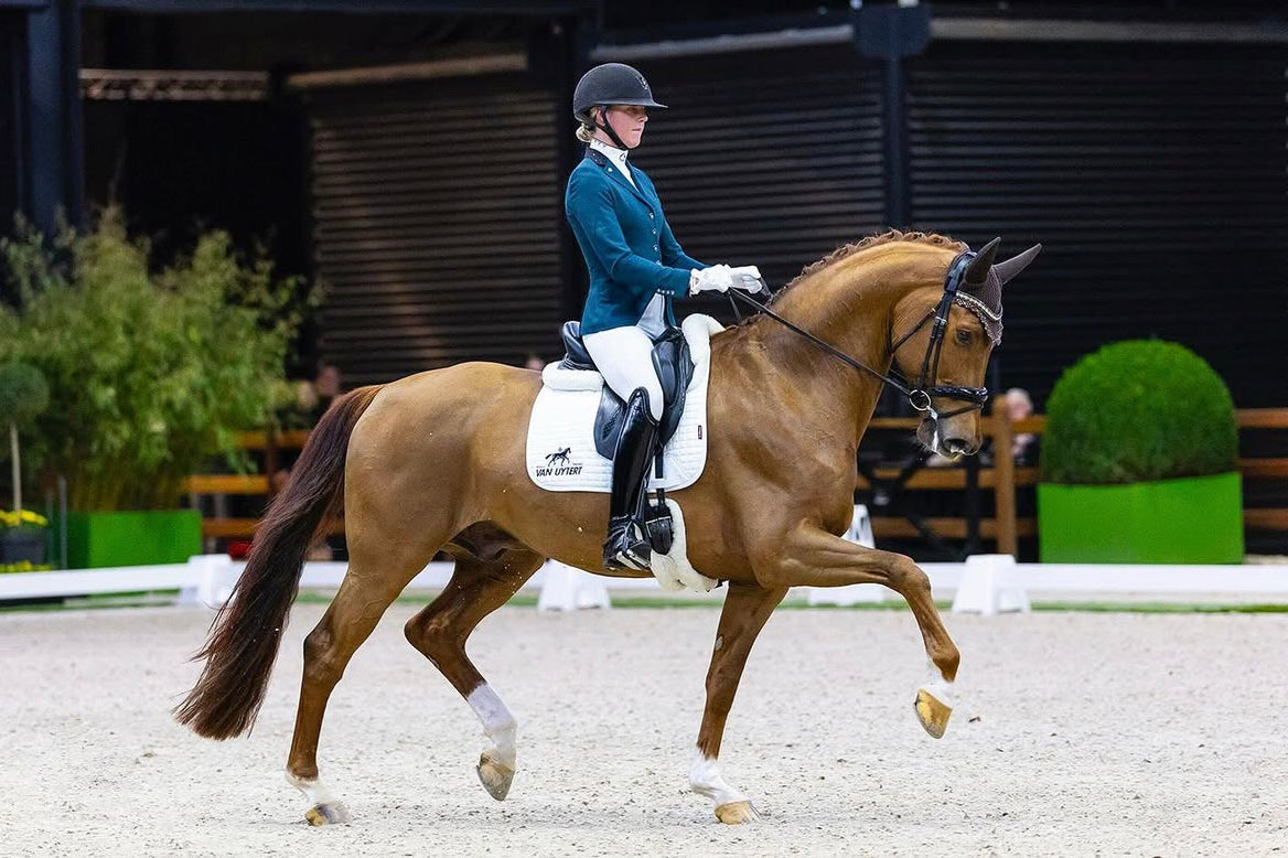 Jill Bogers and her chestnut showing an extended trot during Indoor Brabant, in a JuulC competition jacket 