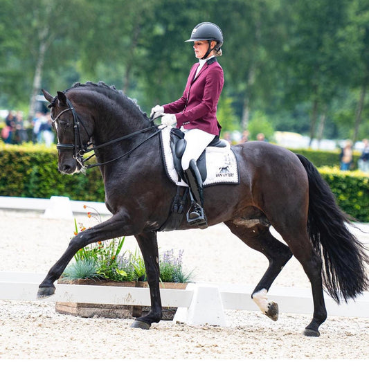 Model riding her horse wearing JuulC' Burgundy Women's Show Coat made from sport-tech merino wool 